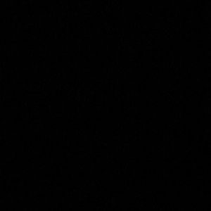 Meet your Posher, Darla